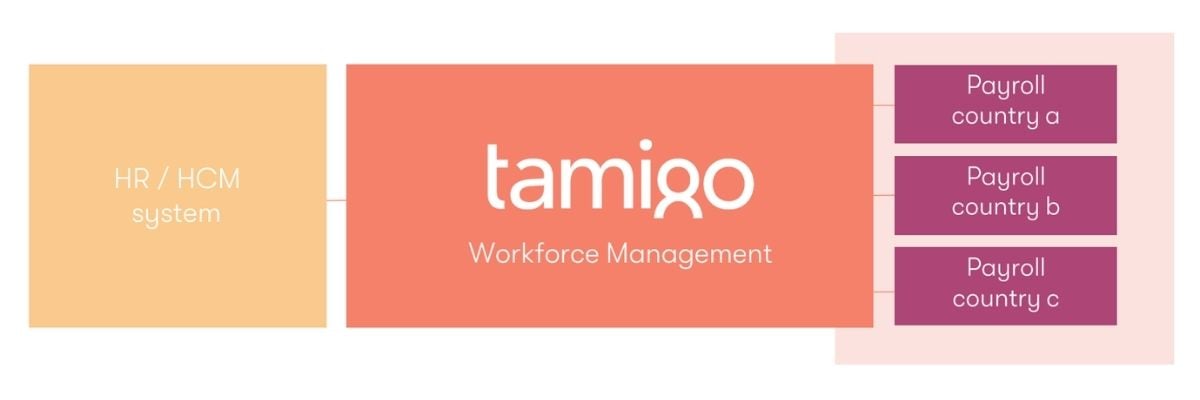 Diagram showing how tamigo fits with HR and payroll software